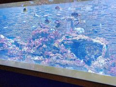 -秦皇岛新澳海底世界