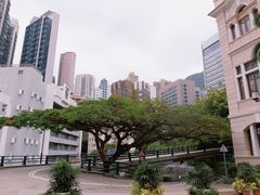 -香港大学