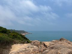 -广东惠东海龟国家级自然保护区