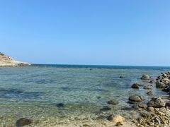 -墨脱石锅椰子鸡•香草鸭•东山羊(大东海店)