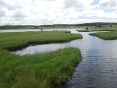 -塞罕坝国家级自然保护区