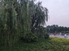 -山东理工大学
