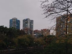 -晓港公园
