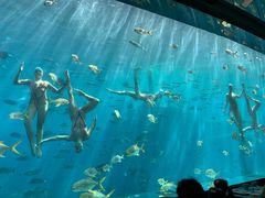-瑞德姆美人鱼海底演艺主题餐厅(亚龙湾店)