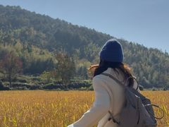 -塔川景区