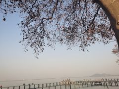 -海底捞火锅(关山保利店)