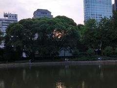 -团结湖公园