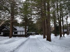 -北海道神宫