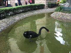 -西安曲江寒窑遗址公园
