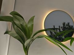 -探窝·竹笙椰子鸡(杨箕店)