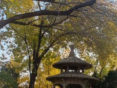 -玲珑塔公园