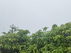 -九宫山风景区
