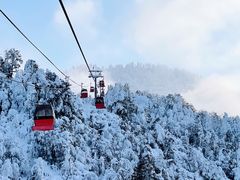 -瓦屋山景区