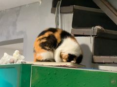 -吉友粥底火锅(方斜路店)