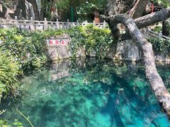 -蝴蝶泉公园