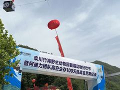 -栾川竹海野生动物园