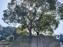 -上海吴淞炮台湾国家湿地公园