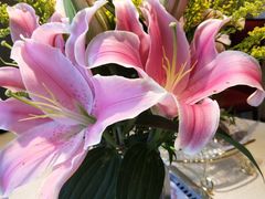 -海底捞火锅(长沙华创国际广场店)