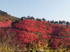-木兰云雾山