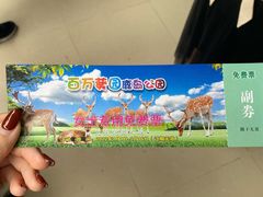-百万葵园