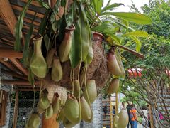 -顺德了能馆(虎门店)