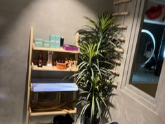-施奈儿.洗头頭療.按摩SPA.采耳(上梅林店)