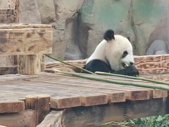 -无锡动物园·太湖欢乐园