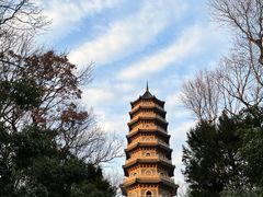 -灵谷景区