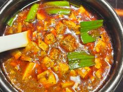 -陈麻婆豆腐总店