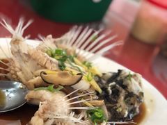 -大茄来海鲜餐厅(亚洲城分行)