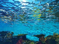 -华夏文旅海洋公园