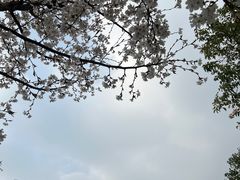 -隋唐大运河文化博物馆