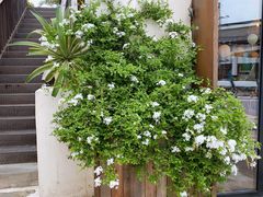 -悦哉·派对·草坪婚礼·围炉煮茶(三圣乡店)