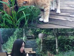 -远山有窑