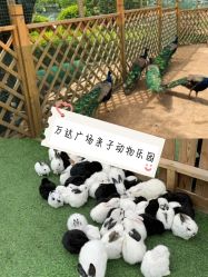 -萌宠亲子动物乐园(槐房万达店)