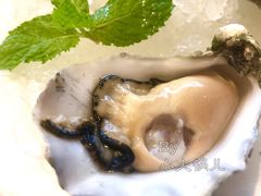 -Oyster Talks 四度蚝法餐厅