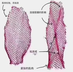 点击看大图 -昕孕瑜伽·孕妇瑜伽·产后修复