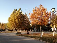 -永定河休闲森林公园