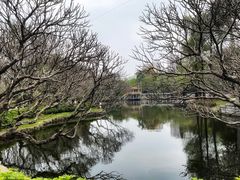 -晓港公园