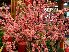 -百乐门喜宴(海珠广场华厦店)
