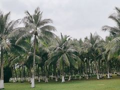-万绿园