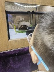 -Zoolung Zoolung动物主题公园(海信广场店)