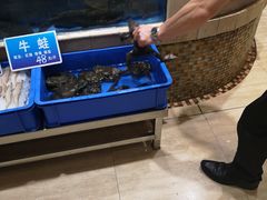 水产区-双井轩(双井店)