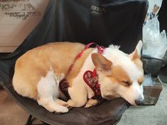 -沙坡尾艺术西区