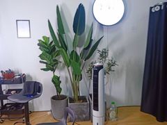 -红像馆精致肖像证件照(亦庄店)
