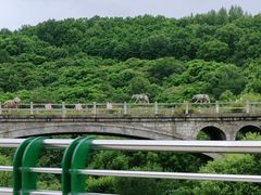 -茅兰沟国家森林公园