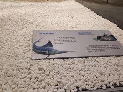 -贝林大翅鲸简餐厅(国家海洋博物馆店)