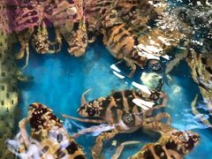 -清水湾3号(东方小周海鲜店)