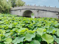 -阳澄湖半岛旅游度假区