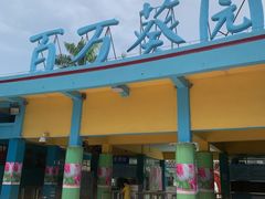 -百万葵园
